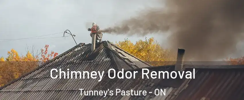  Chimney Odor Removal Tunney's Pasture - ON