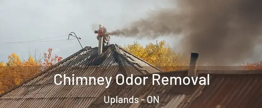  Chimney Odor Removal Uplands - ON