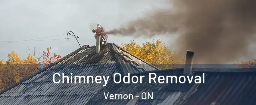  Chimney Odor Removal Vernon - ON