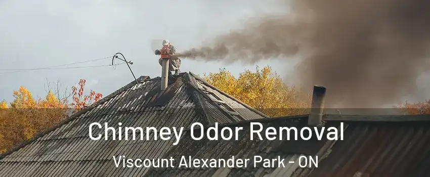  Chimney Odor Removal Viscount Alexander Park - ON