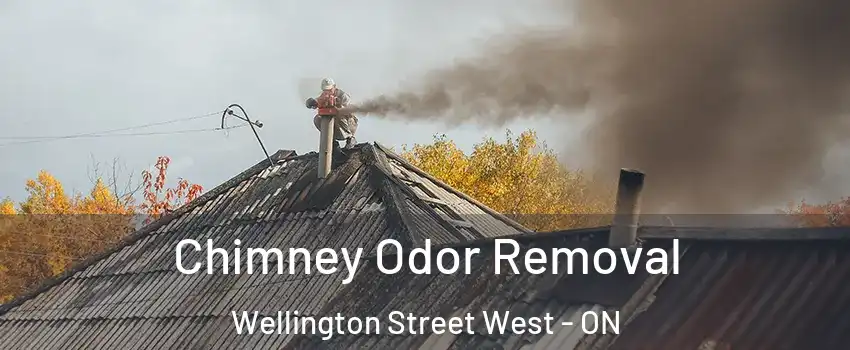  Chimney Odor Removal Wellington Street West - ON