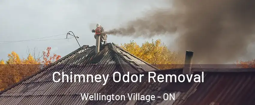  Chimney Odor Removal Wellington Village - ON