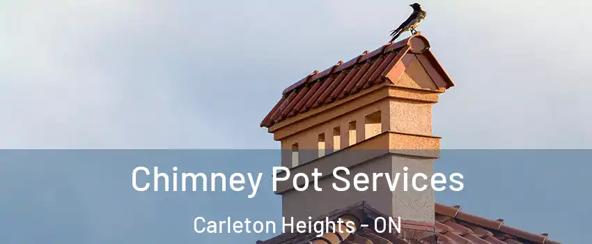  Chimney Pot Services Carleton Heights - ON