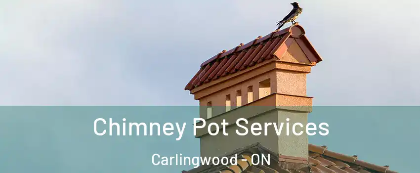  Chimney Pot Services Carlingwood - ON