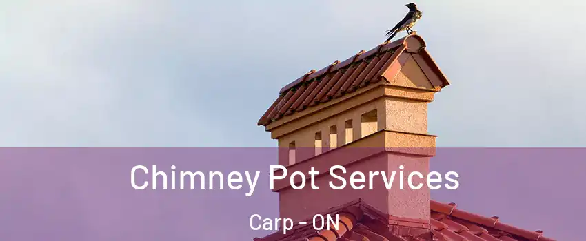  Chimney Pot Services Carp - ON