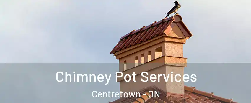  Chimney Pot Services Centretown - ON