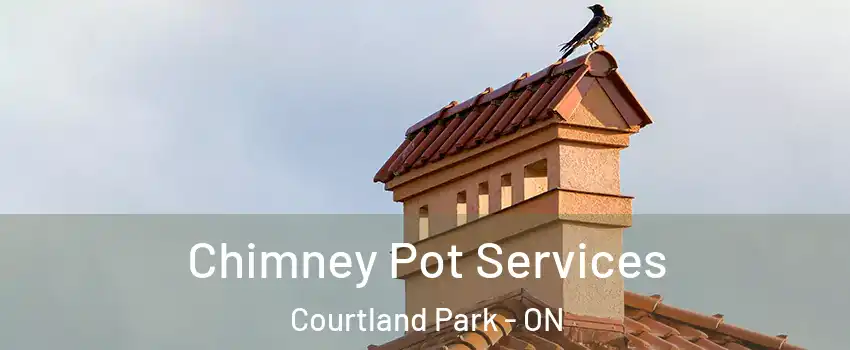  Chimney Pot Services Courtland Park - ON