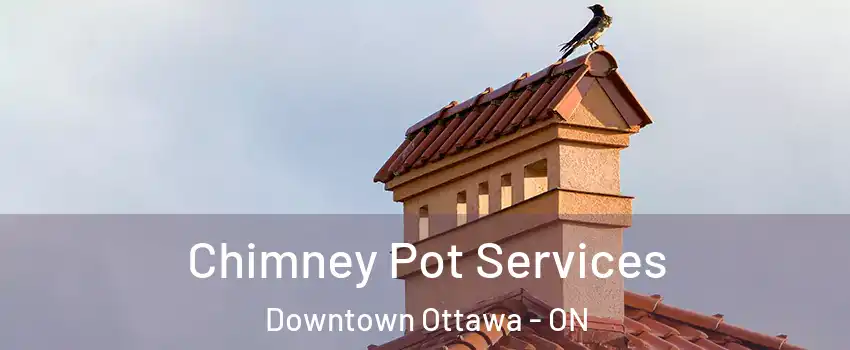  Chimney Pot Services Downtown Ottawa - ON