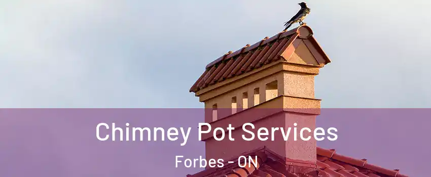  Chimney Pot Services Forbes - ON