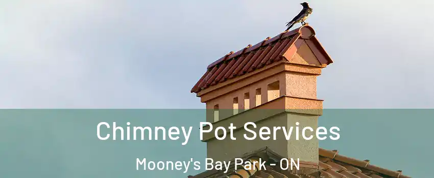  Chimney Pot Services Mooney's Bay Park - ON