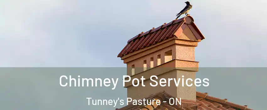  Chimney Pot Services Tunney's Pasture - ON