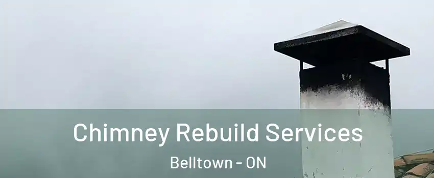  Chimney Rebuild Services Belltown - ON