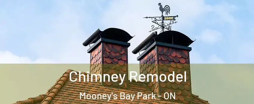  Chimney Remodel Mooney's Bay Park - ON