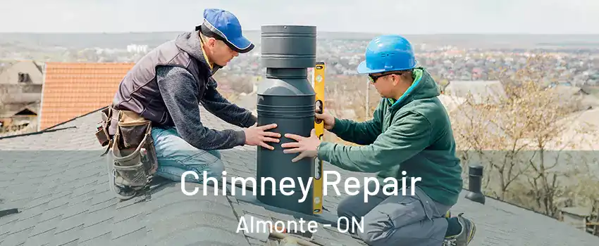  Chimney Repair Almonte - ON