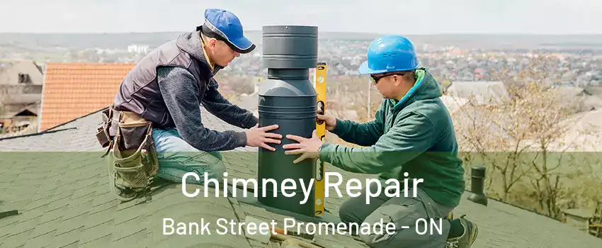  Chimney Repair Bank Street Promenade - ON