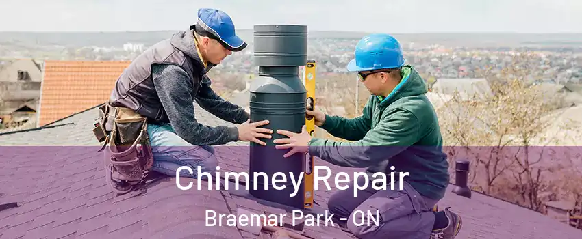  Chimney Repair Braemar Park - ON