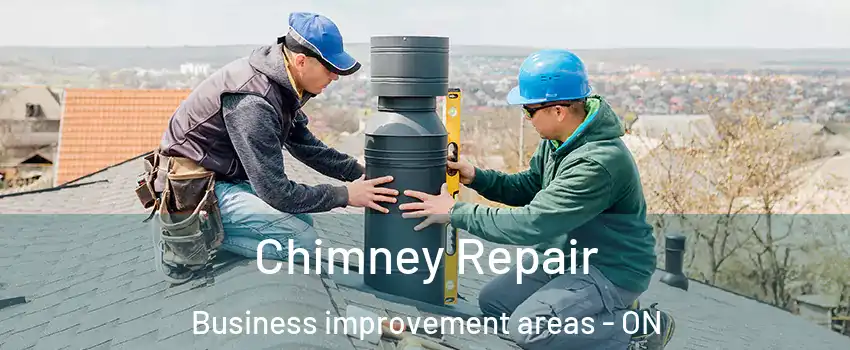  Chimney Repair Business improvement areas - ON