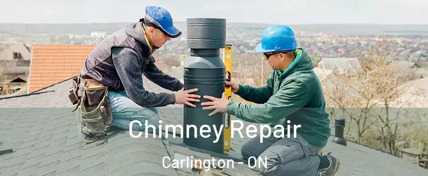  Chimney Repair Carlington - ON