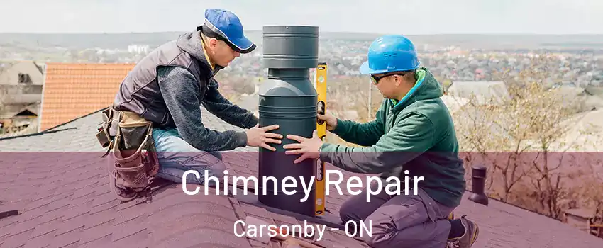  Chimney Repair Carsonby - ON