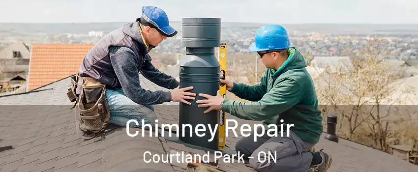  Chimney Repair Courtland Park - ON