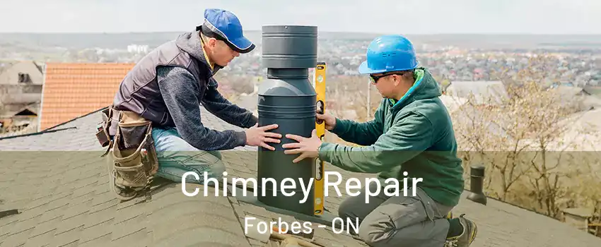  Chimney Repair Forbes - ON