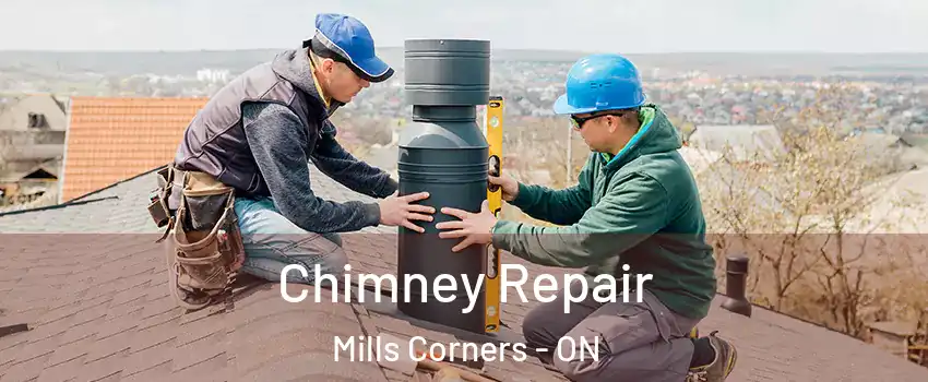  Chimney Repair Mills Corners - ON