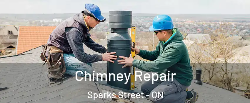  Chimney Repair Sparks Street - ON