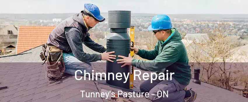  Chimney Repair Tunney's Pasture - ON