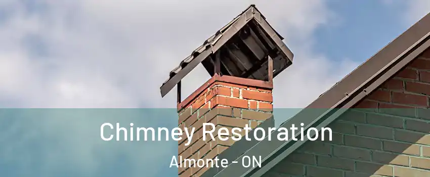  Chimney Restoration Almonte - ON