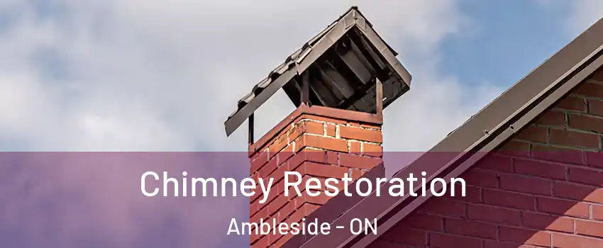  Chimney Restoration Ambleside - ON