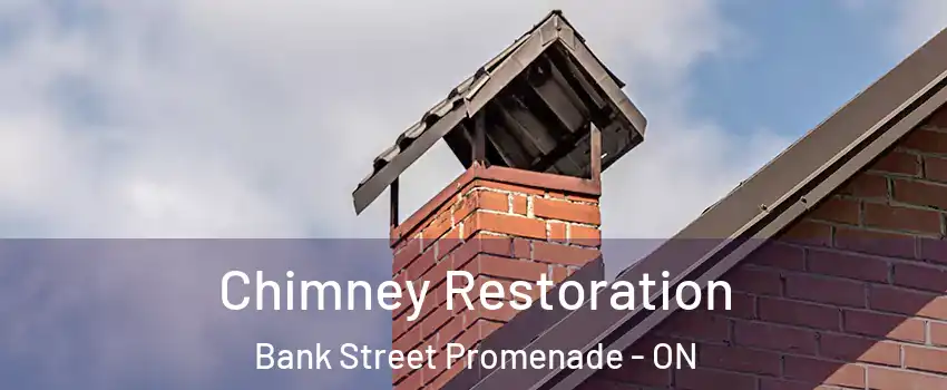  Chimney Restoration Bank Street Promenade - ON