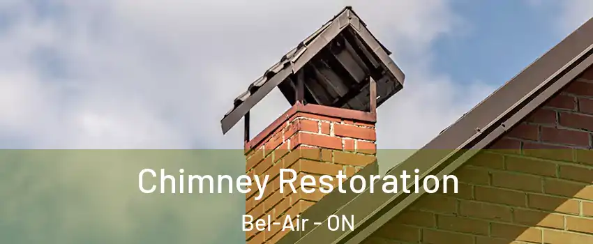  Chimney Restoration Bel-Air - ON