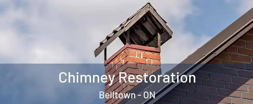  Chimney Restoration Belltown - ON