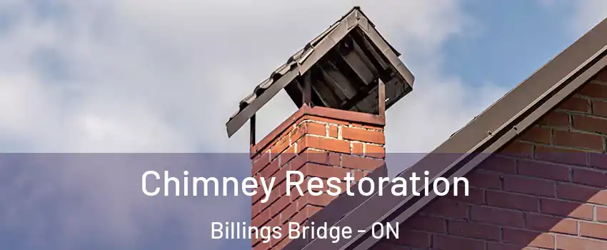  Chimney Restoration Billings Bridge - ON