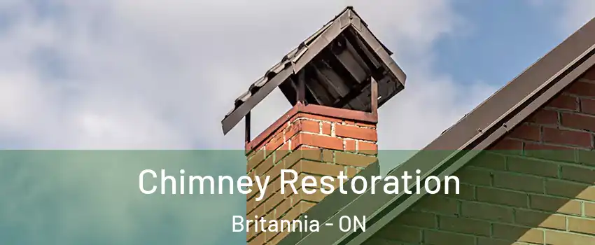  Chimney Restoration Britannia - ON