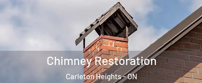  Chimney Restoration Carleton Heights - ON