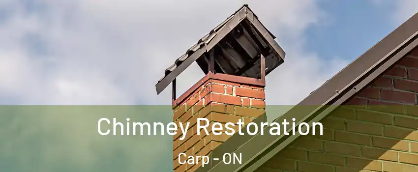  Chimney Restoration Carp - ON