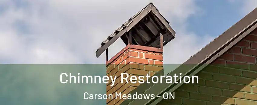  Chimney Restoration Carson Meadows - ON