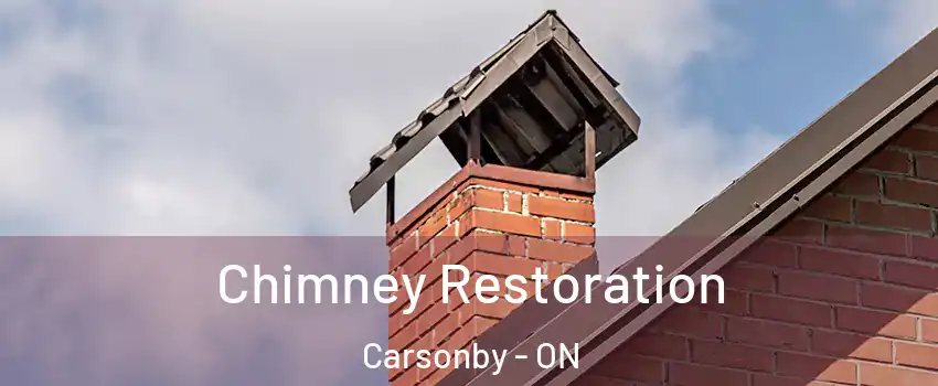  Chimney Restoration Carsonby - ON