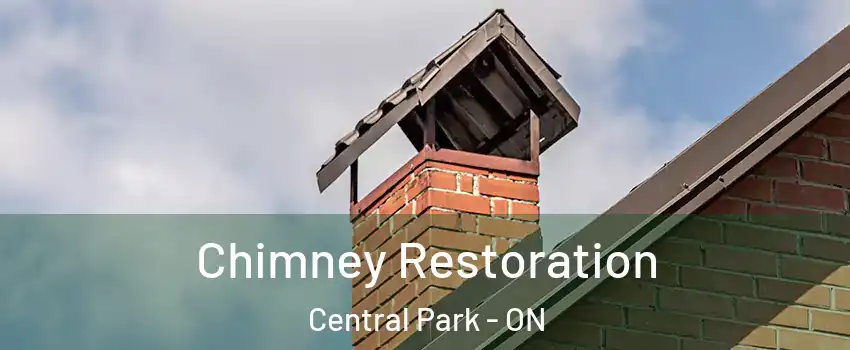  Chimney Restoration Central Park - ON