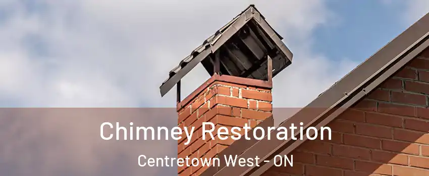  Chimney Restoration Centretown West - ON