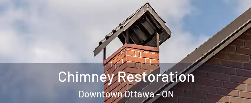  Chimney Restoration Downtown Ottawa - ON