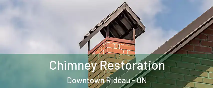  Chimney Restoration Downtown Rideau - ON