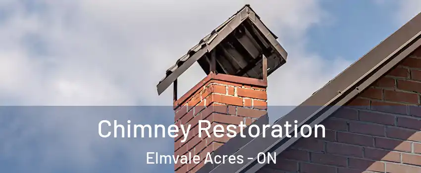  Chimney Restoration Elmvale Acres - ON