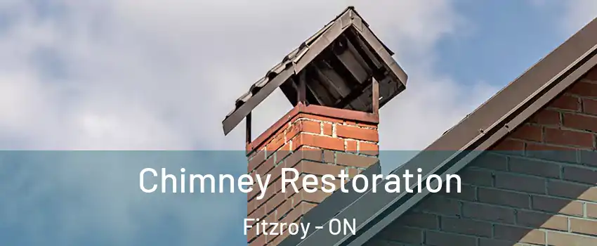  Chimney Restoration Fitzroy - ON