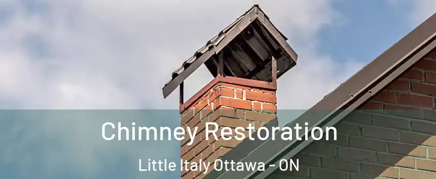  Chimney Restoration Little Italy Ottawa - ON