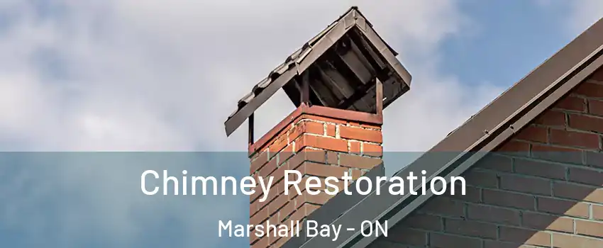  Chimney Restoration Marshall Bay - ON