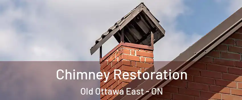  Chimney Restoration Old Ottawa East - ON