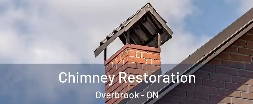  Chimney Restoration Overbrook - ON