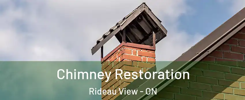  Chimney Restoration Rideau View - ON